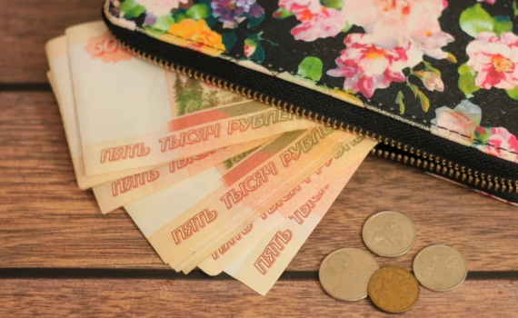 В Красноярском крае задержали подозреваемую в воровстве денег из кошелька пенсионерки