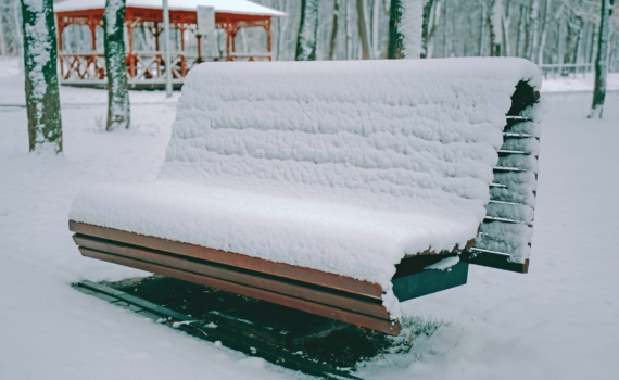 1 декабря отмечаем День невролога, хоккея в РФ, Антарктиды, именинники и не только