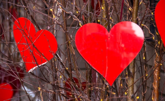 Идеальные половинки: пары знаков, которым астрологи пророчат счастливую любовь на всю жизнь