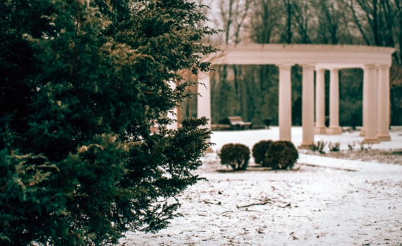 23 декабря 2025 — праздники в честь: семейных корней, снежных ангелов, именинников и не только 23 декабря 2025 — праздники в честь: семейных корней, снежных ангелов, именинников и не только